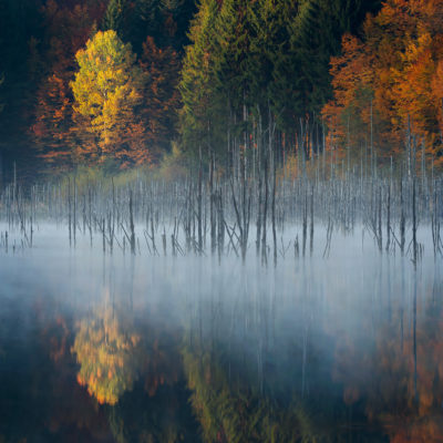 Lacul Cuejdel, judetul Neamt, Romania